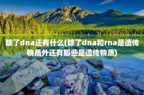 除了dna还有什么(除了dna和rna是遗传物质外还有那些是遗传物质)