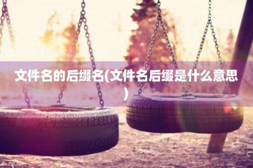 文件名的后缀名(文件名后缀是什么意思)