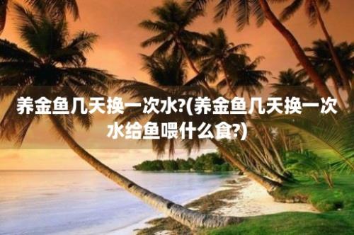 养金鱼几天换一次水?(养金鱼几天换一次水给鱼喂什么食?)