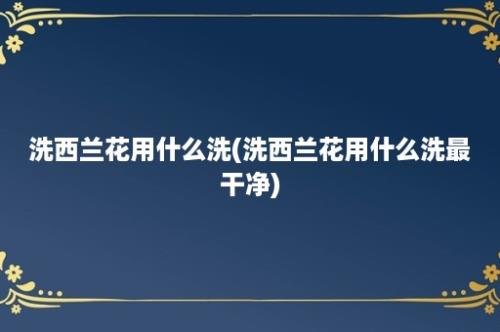 洗西兰花用什么洗(洗西兰花用什么洗最干净)