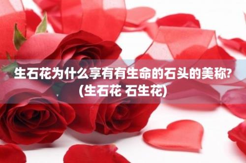 生石花为什么享有有生命的石头的美称?(生石花 石生花)