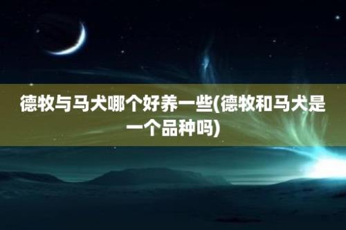 德牧与马犬哪个好养一些(德牧和马犬是一个品种吗)