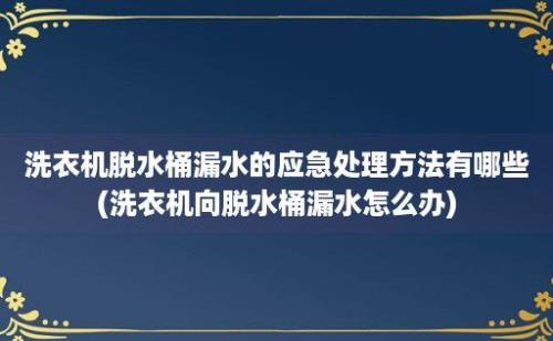 洗衣机脱水桶漏水的应急处理方法有哪些(洗衣机向脱水桶漏水怎么办)