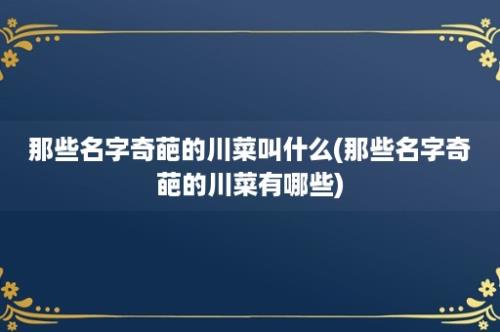 那些名字奇葩的川菜叫什么(那些名字奇葩的川菜有哪些)