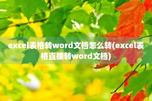 excel表格转word文档怎么转(excel表格直接转word文档)