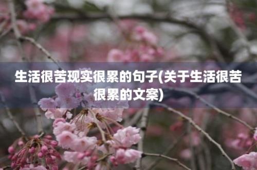 生活很苦现实很累的句子(关于生活很苦很累的文案)