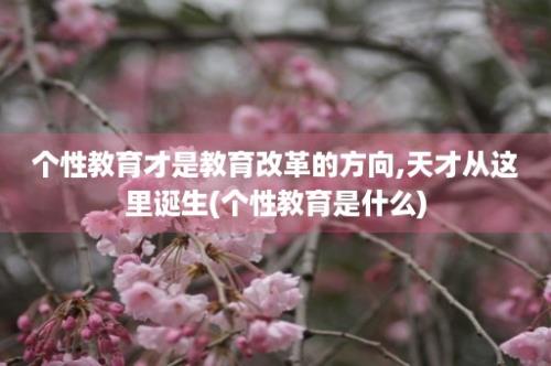 个性教育才是教育改革的方向,天才从这里诞生(个性教育是什么)