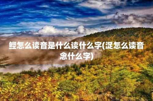 鲣怎么读音是什么读什么字(浞怎么读音念什么字)