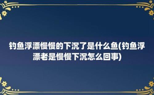 钓鱼浮漂慢慢的下沉了是什么鱼(钓鱼浮漂老是慢慢下沉怎么回事)