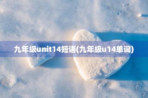 九年级unit14短语(九年级u14单词)