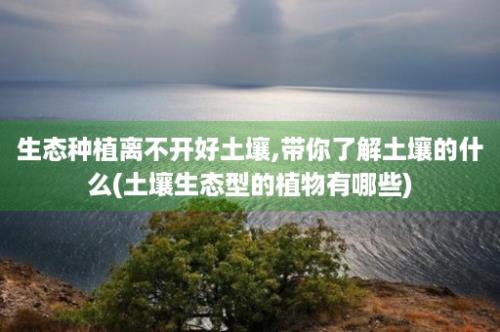 生态种植离不开好土壤,带你了解土壤的什么(土壤生态型的植物有哪些)