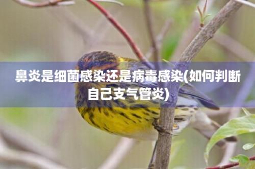 鼻炎是细菌感染还是病毒感染(如何判断自己支气管炎)