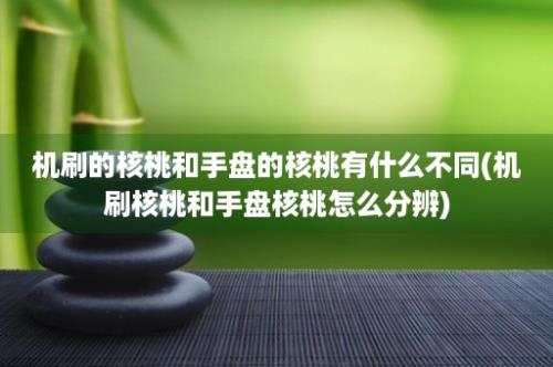 机刷的核桃和手盘的核桃有什么不同(机刷核桃和手盘核桃怎么分辨)