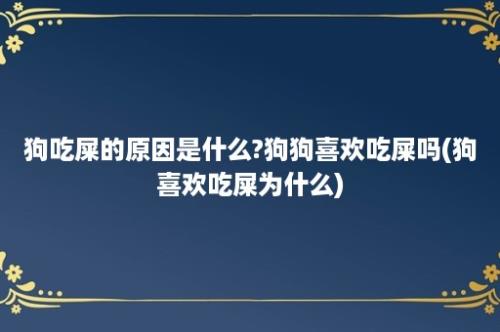 狗吃屎的原因是什么?狗狗喜欢吃屎吗(狗喜欢吃屎为什么)