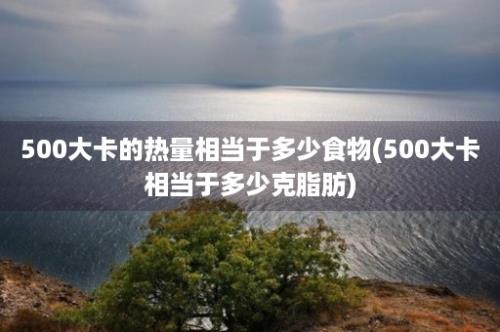 500大卡的热量相当于多少食物(500大卡相当于多少克脂肪)