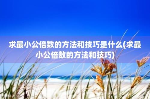 求最小公倍数的方法和技巧是什么(求最小公倍数的方法和技巧)