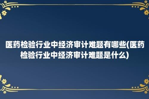 医药检验行业中经济审计难题有哪些(医药检验行业中经济审计难题是什么)