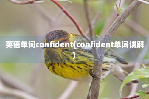 英语单词confident(confident单词讲解)