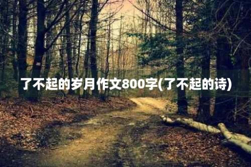 了不起的岁月作文800字(了不起的诗)