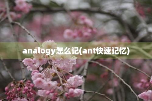 analogy怎么记(ant快速记忆)