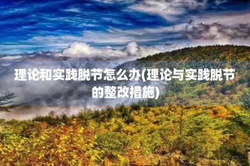 理论和实践脱节怎么办(理论与实践脱节的整改措施)