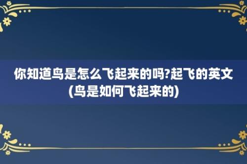 你知道鸟是怎么飞起来的吗?起飞的英文(鸟是如何飞起来的)