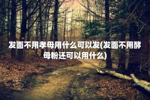 发面不用孝母用什么可以发(发面不用酵母粉还可以用什么)