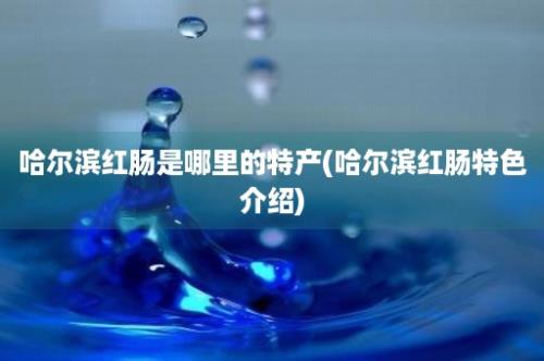 哈尔滨红肠是哪里的特产(哈尔滨红肠特色介绍)