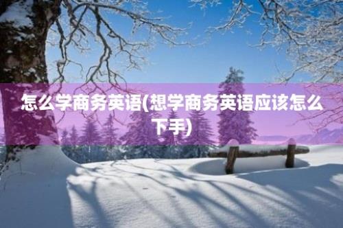 怎么学商务英语(想学商务英语应该怎么下手)