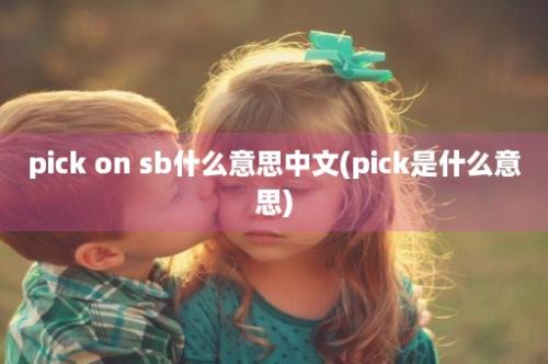 pick on sb什么意思中文(pick是什么意思)