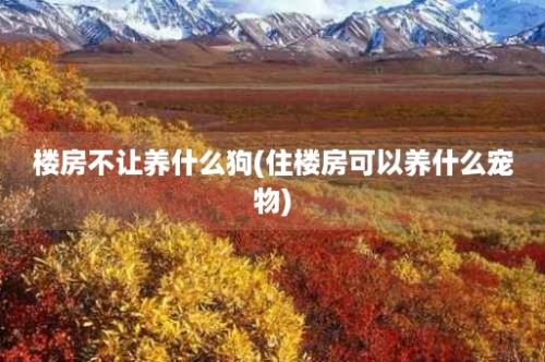 楼房不让养什么狗(住楼房可以养什么宠物)