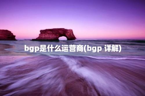 bgp是什么运营商(bgp 详解)