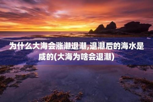 为什么大海会涨潮退潮,退潮后的海水是咸的(大海为啥会退潮)