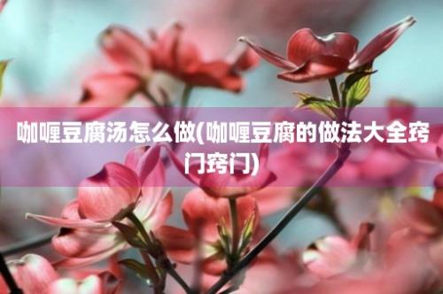 咖喱豆腐汤怎么做(咖喱豆腐的做法大全窍门窍门)