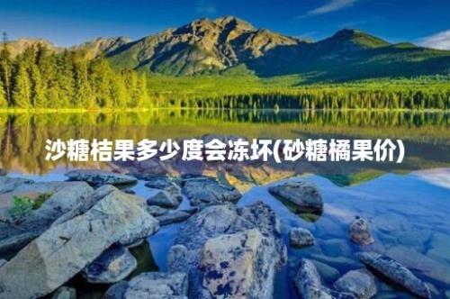 沙糖桔果多少度会冻坏(砂糖橘果价)