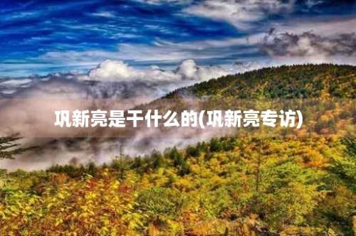 巩新亮是干什么的(巩新亮专访)