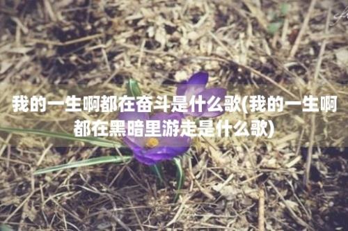 我的一生啊都在奋斗是什么歌(我的一生啊都在黑暗里游走是什么歌)