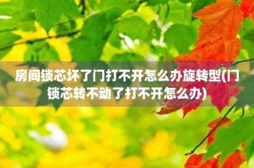 房间锁芯坏了门打不开怎么办旋转型(门锁芯转不动了打不开怎么办)