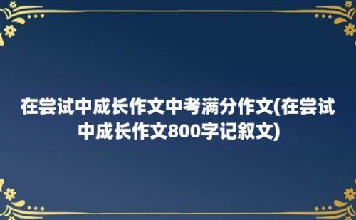 在尝试中成长作文中考满分作文(在尝试中成长作文800字记叙文)