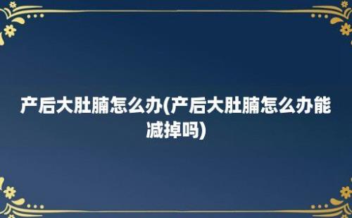 产后大肚腩怎么办(产后大肚腩怎么办能减掉吗)