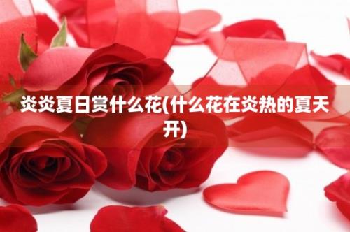 炎炎夏日赏什么花(什么花在炎热的夏天开)