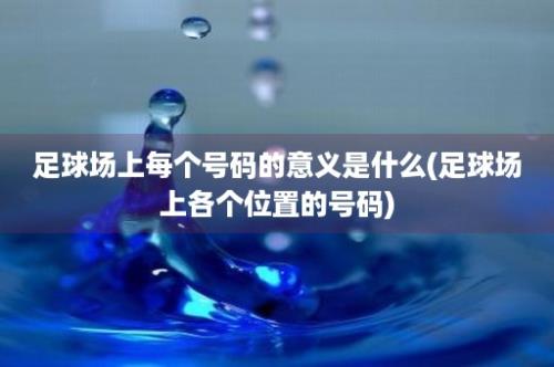 足球场上每个号码的意义是什么(足球场上各个位置的号码)