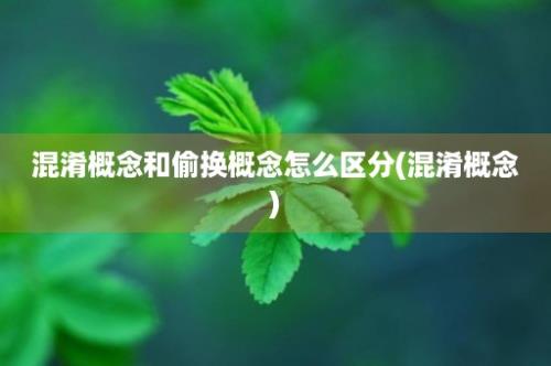 混淆概念和偷换概念怎么区分(混淆概念)