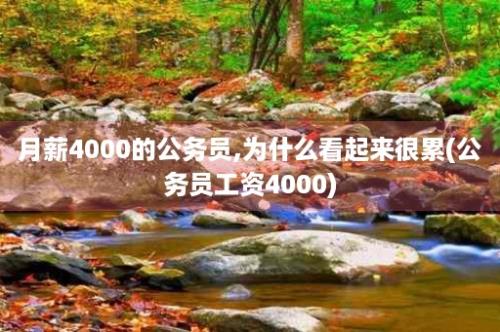 月薪4000的公务员,为什么看起来很累(公务员工资4000)