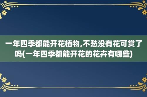 一年四季都能开花植物,不愁没有花可赏了吗(一年四季都能开花的花卉有哪些)