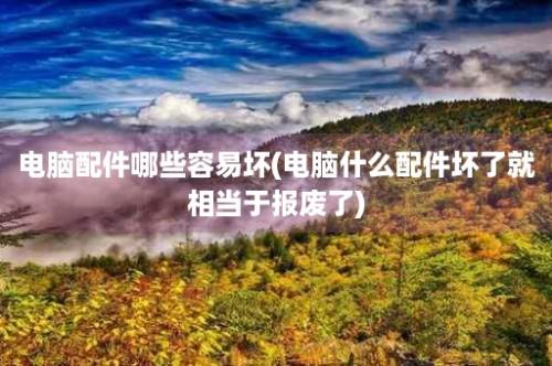 电脑配件哪些容易坏(电脑什么配件坏了就相当于报废了)