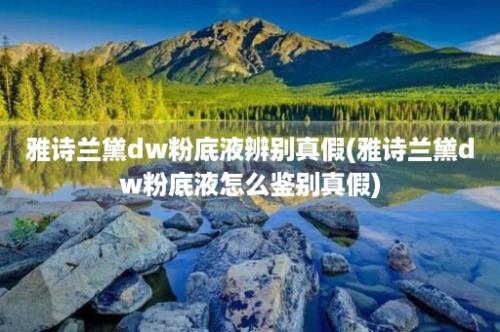 雅诗兰黛dw粉底液辨别真假(雅诗兰黛dw粉底液怎么鉴别真假)