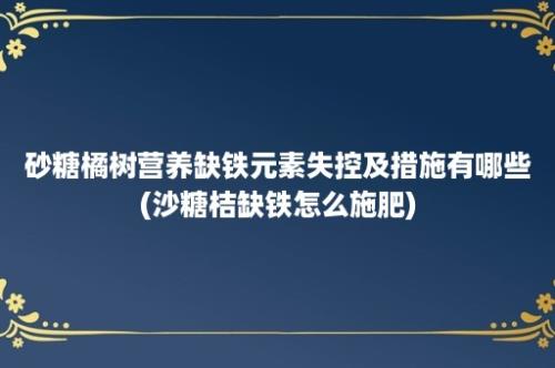 砂糖橘树营养缺铁元素失控及措施有哪些(沙糖桔缺铁怎么施肥)