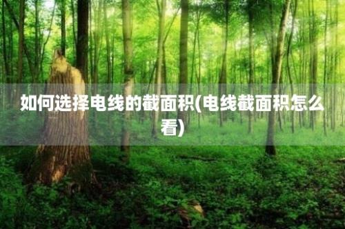 如何选择电线的截面积(电线截面积怎么看)