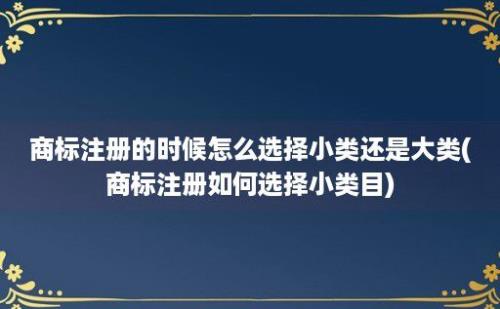 商标注册的时候怎么选择小类还是大类(商标注册如何选择小类目)